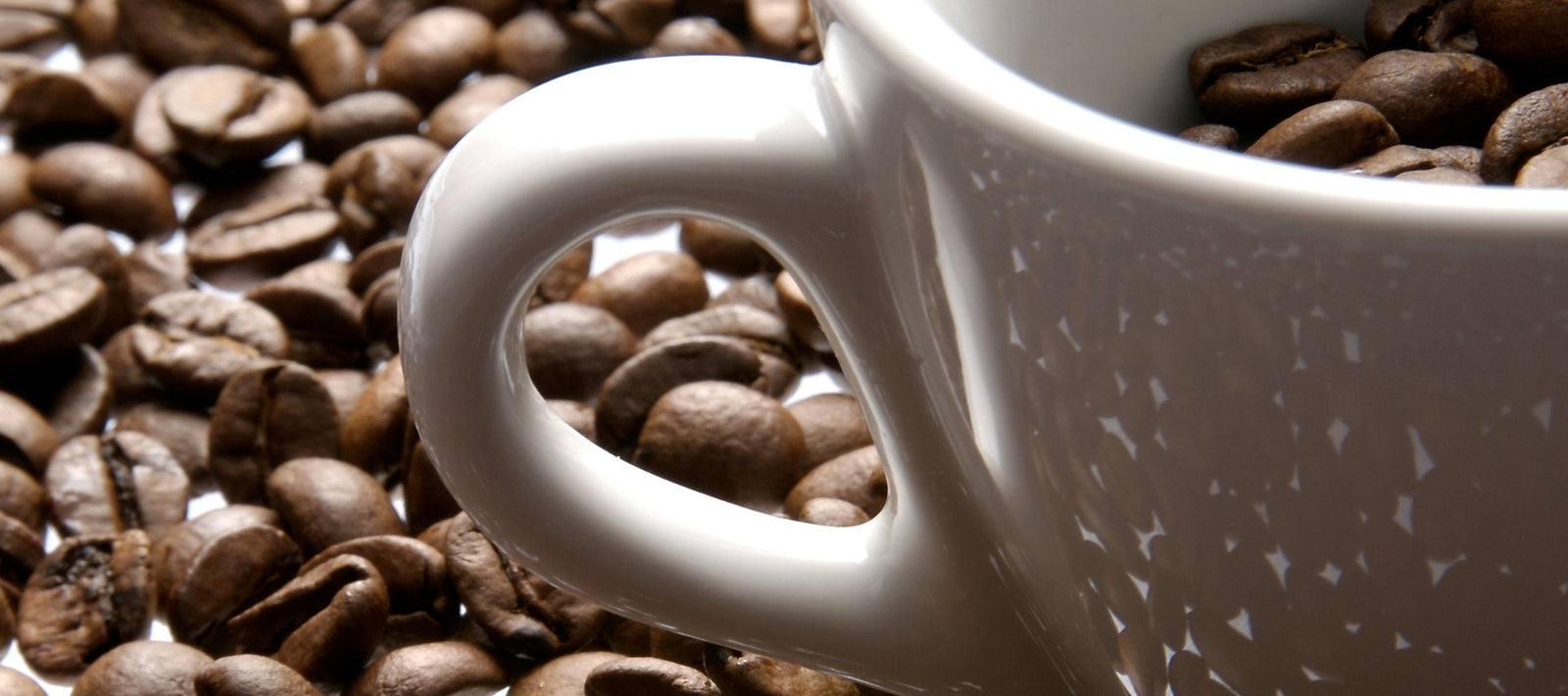 Dilettante Chocolates Espresso Bean Blend Mixed With Dilettante's Chocolate-Covered Espresso Beans
