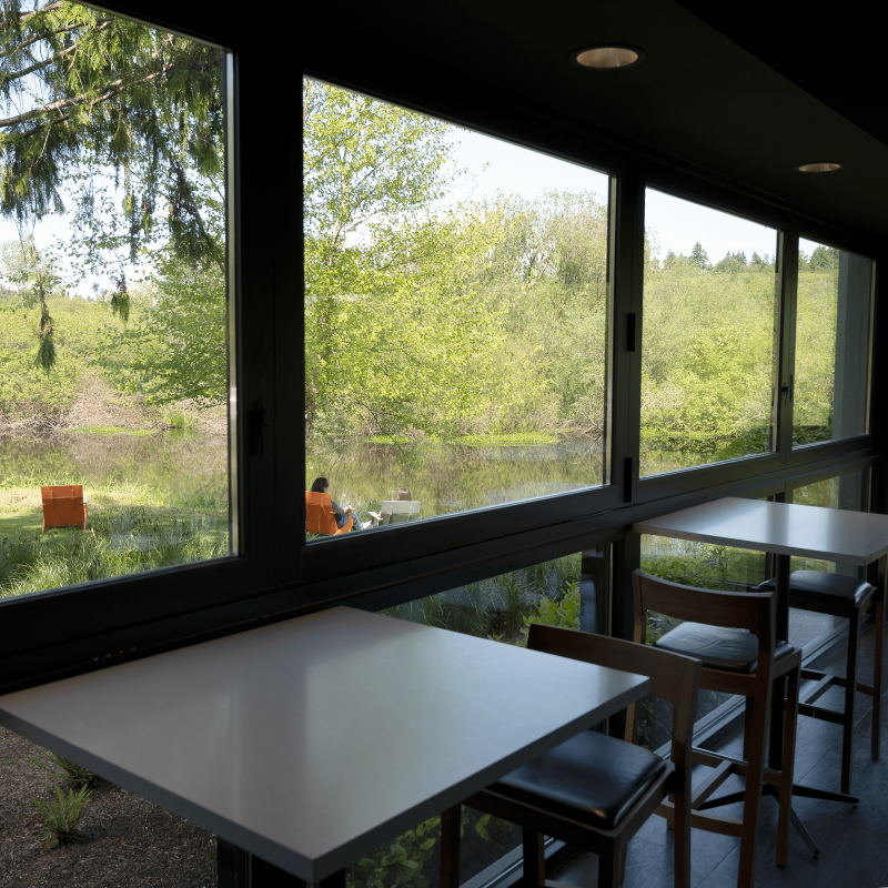Large windows in Dilettante's Bellefield Mocha Café