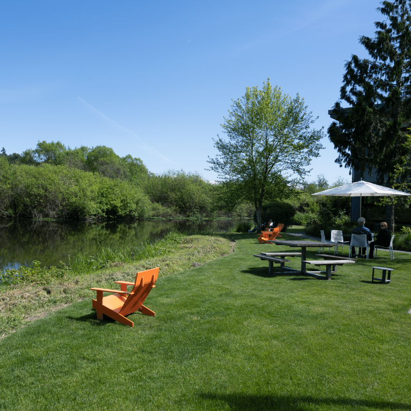 Mercer Slough Waterscape beside Dilettante's Bellefield Mocha Café