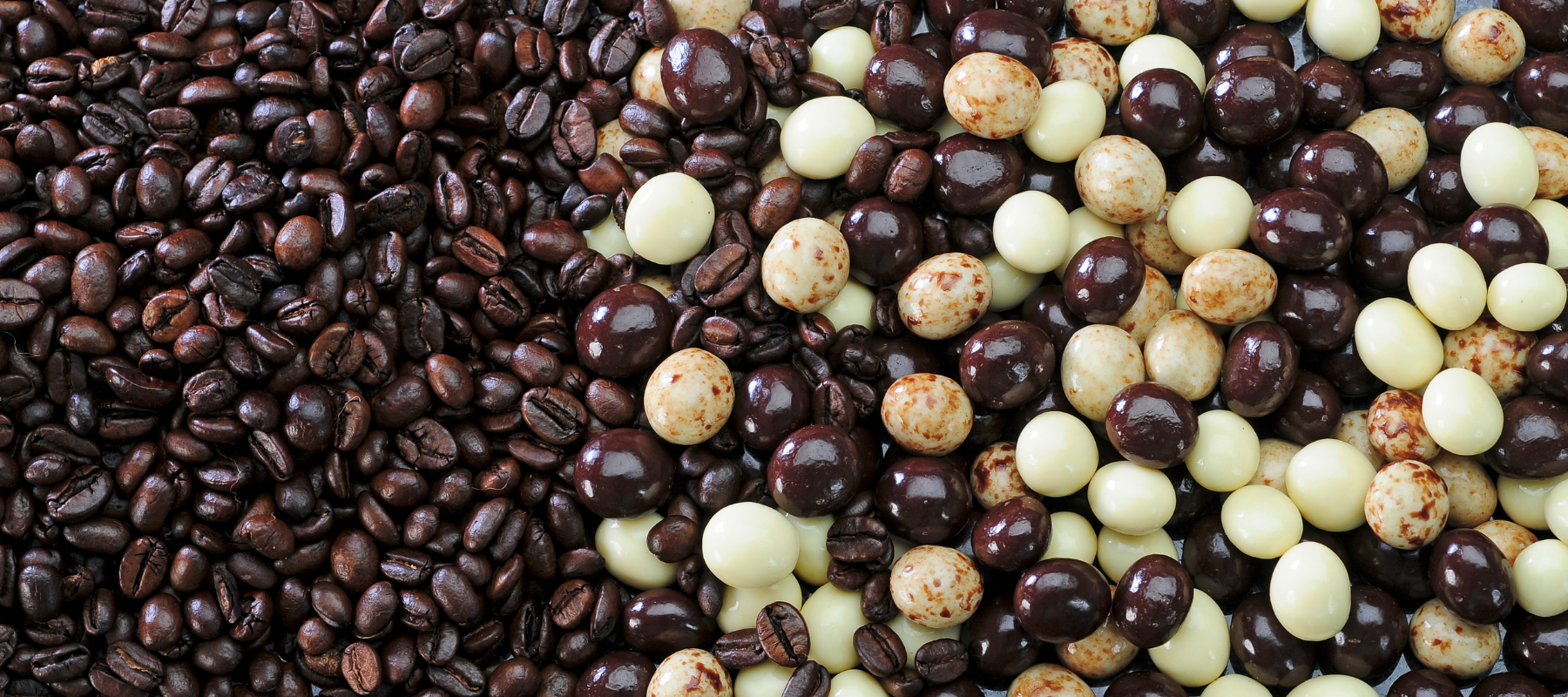 Dilettante Chocolates Espresso Beans mixed with Dilettante's own specialty bean blend