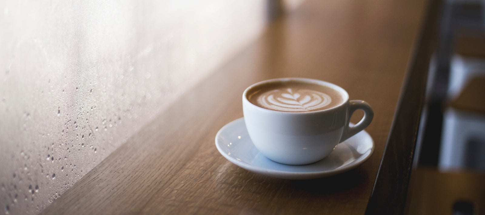Dilettante Chocolates Mocha Sitting on a Counter Top