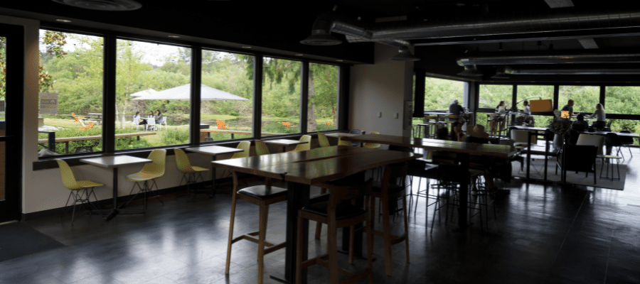 Inside Dilettante's Bellefield Mocha Café 