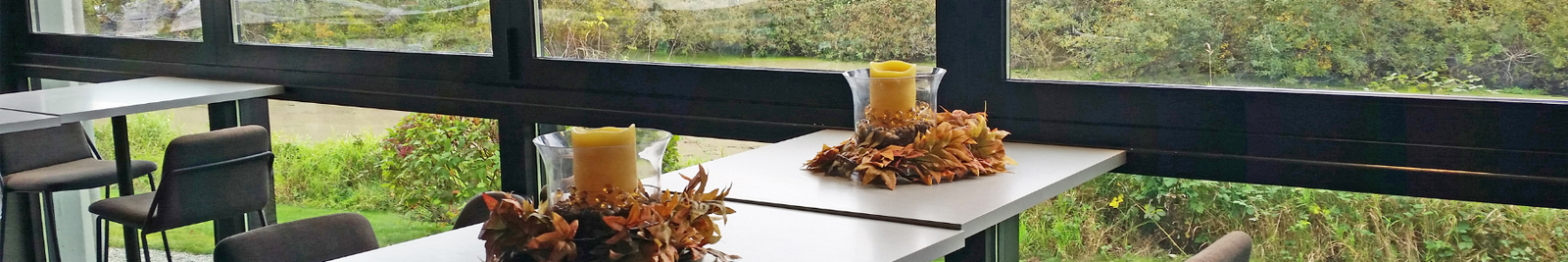 Dilettante Bellefield Mocha Café 