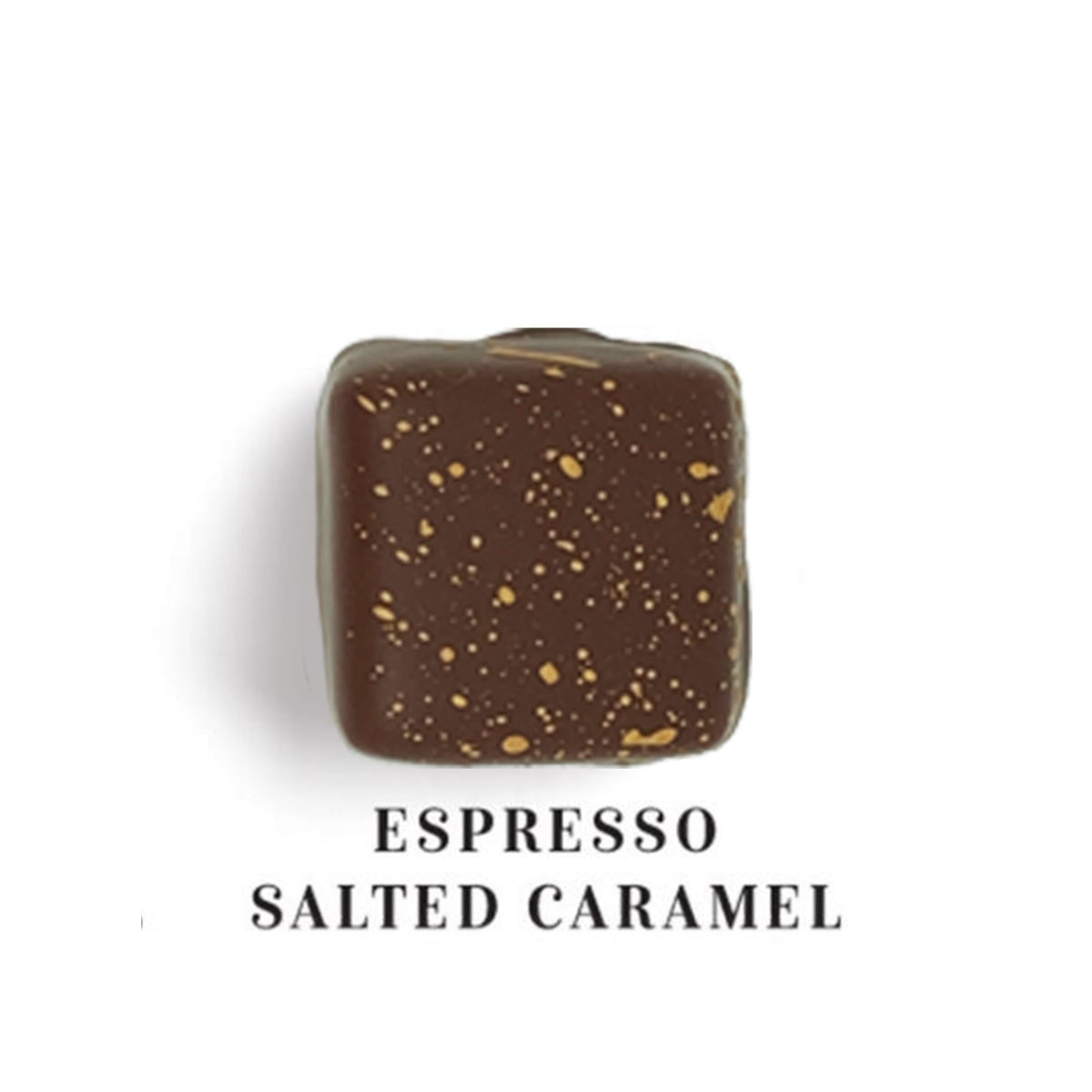 Dilettante Chocolates Espresso Salted Carmel in Milk Chocolate